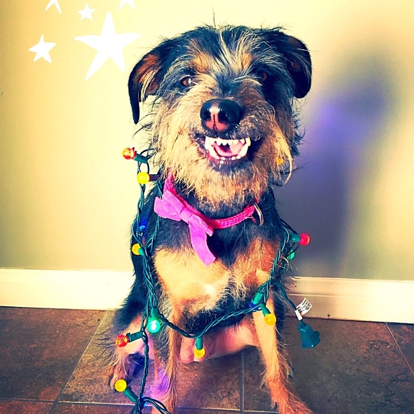 Meet your Posher, Amanda - Picture 1 of 2